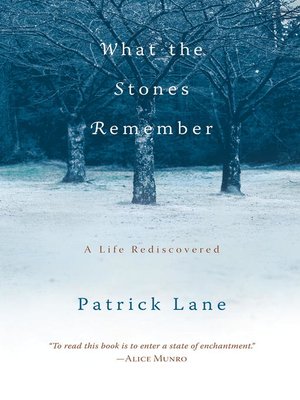 cover image of What the Stones Remember
